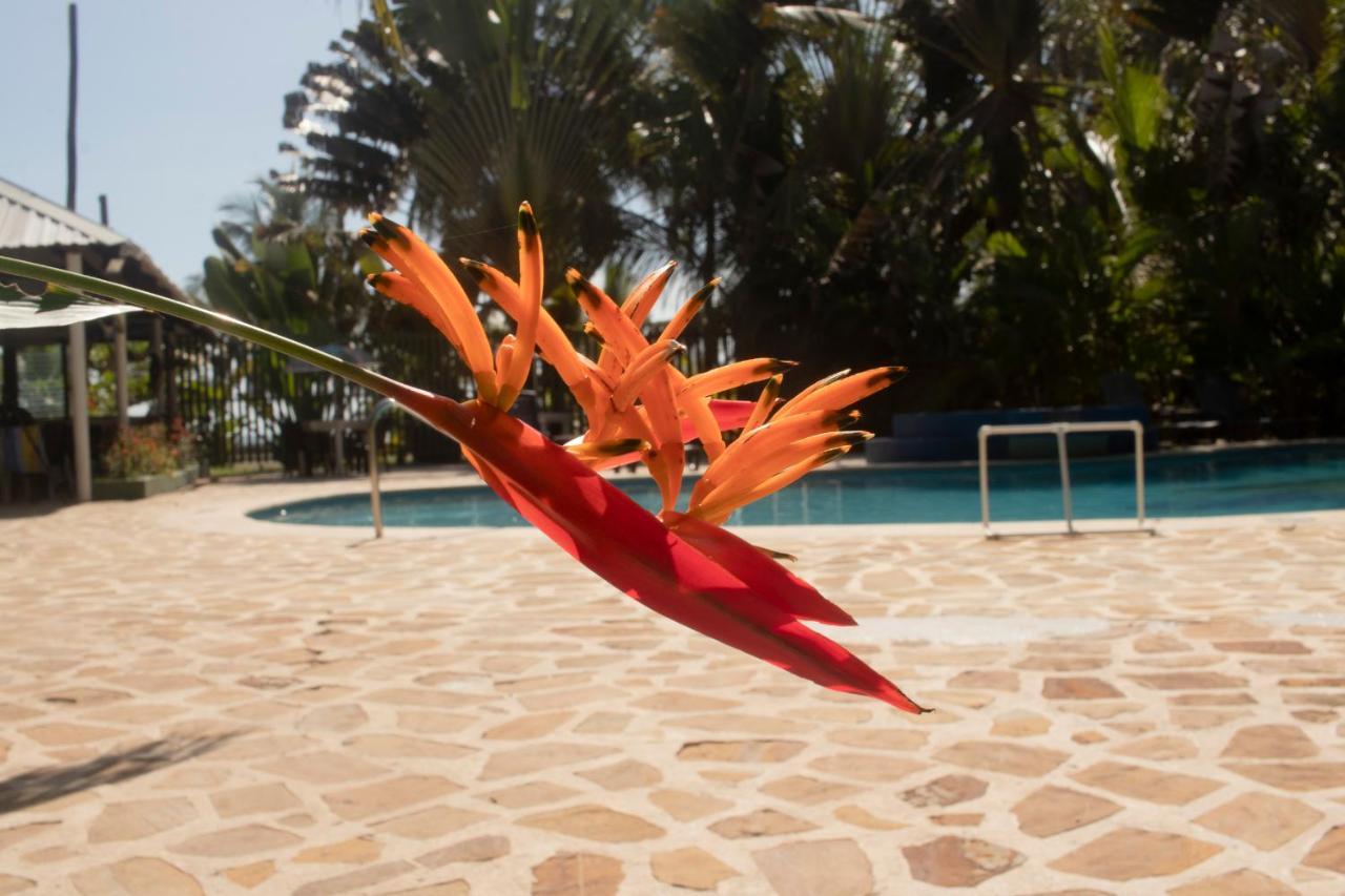 Hotel Playa Westfalia Puerto Limon Kültér fotó
