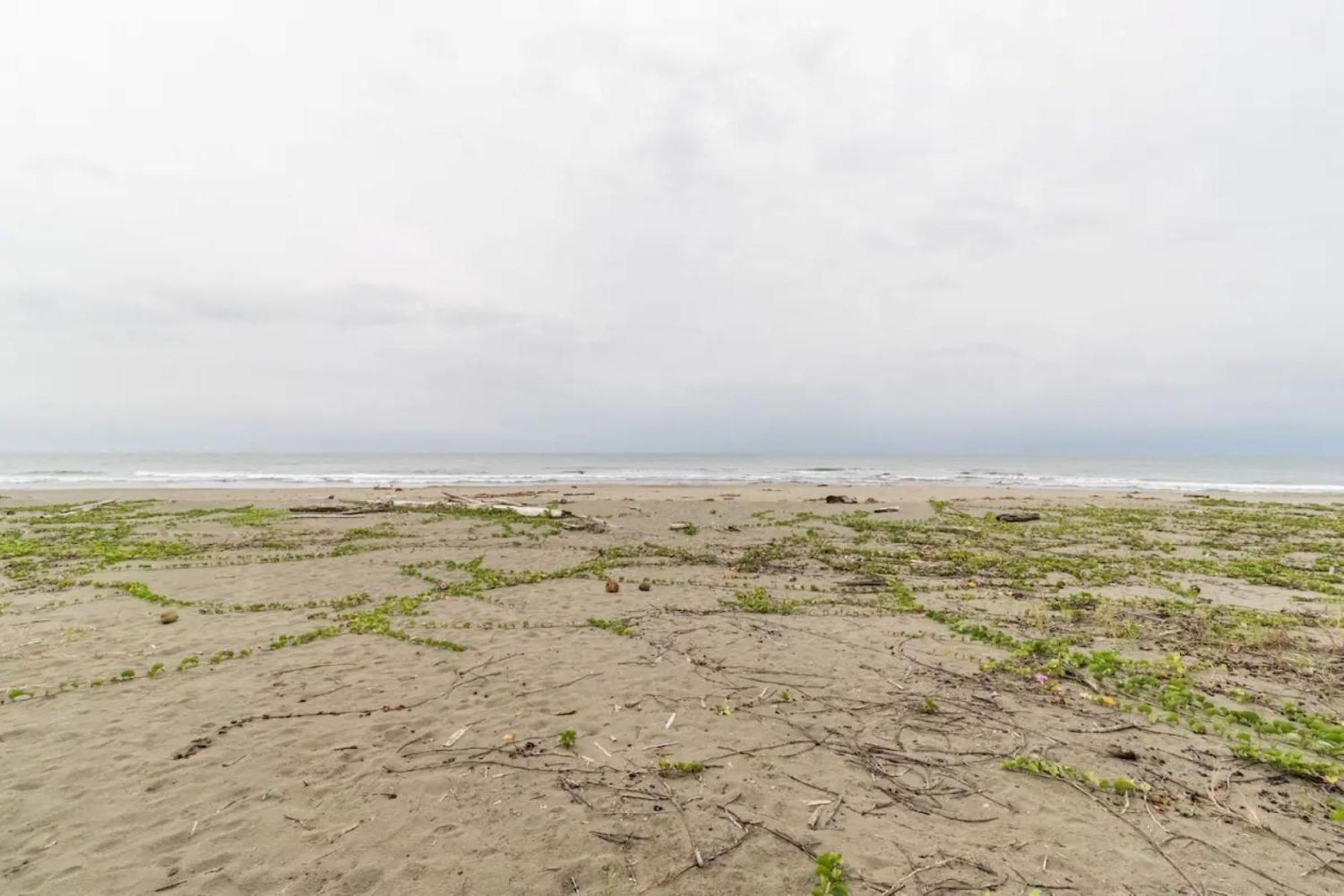 Hotel Playa Westfalia Puerto Limon Kültér fotó