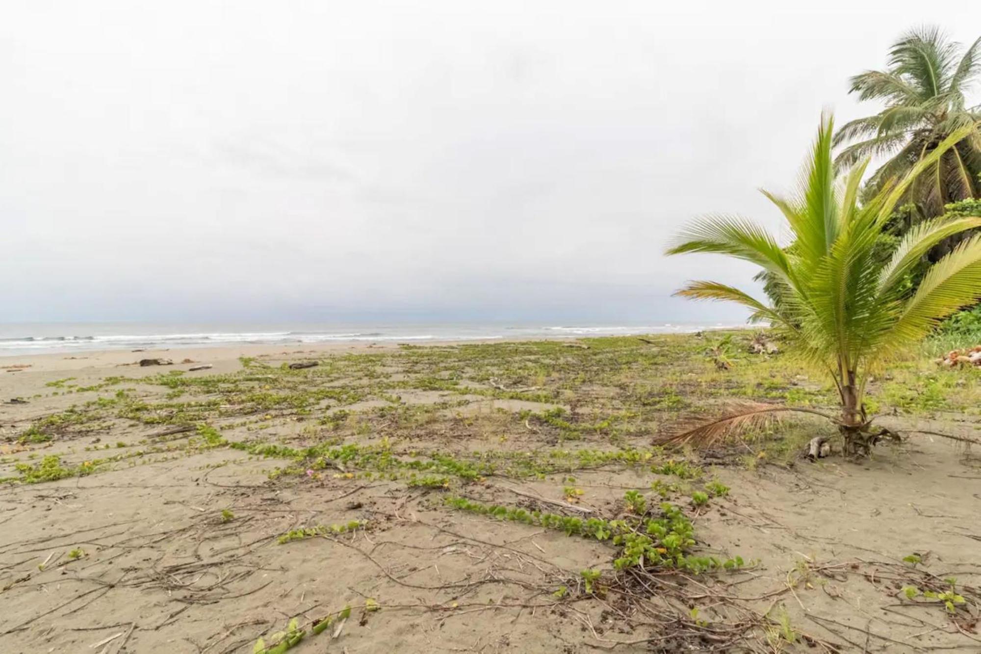 Hotel Playa Westfalia Puerto Limon Kültér fotó